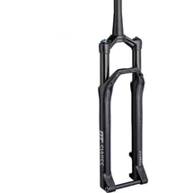 DT Swiss F 232 ONE 29 Zoll 120 mm Schwarz