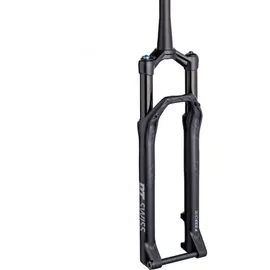 DT Swiss F 232 ONE 29 Zoll 120 mm Schwarz