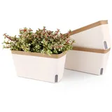 luxuskollektion Blumenkasten 27 x 27 x 27 cm Grün