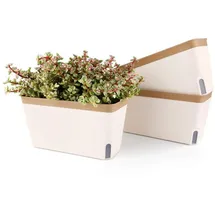 luxuskollektion Blumenkasten 27 x 27 x 27 cm Grün