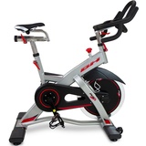 BH fitness Rex H921«, Schwungmasse ca. 20 kg bunt