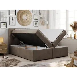MKS Boxspringbett 160 x 200 cm H3 Braun