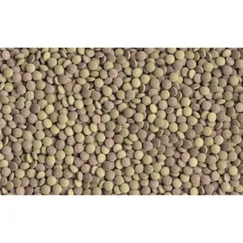 Tetra TabiMin Tablets 275 Stück