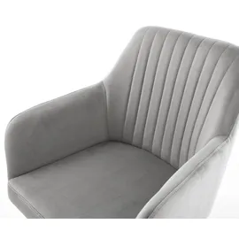 DeLife Schwingstuhl Greg-Flex Samt Grau Freischwinger flach Schwarz, Esszimmerstühle