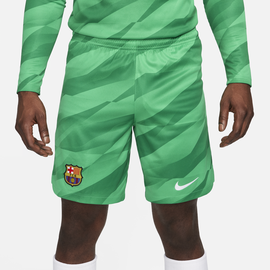 Nike FC Barcelona 2023/24 Stadium Goalkeeper Nike Dri-FIT Fußballshorts für Herren - Grün, M