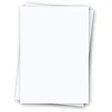 Regulus Signolit SC 40 A4 matt 75μm Inh.100