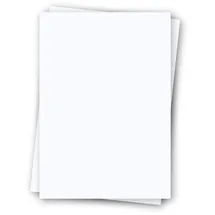 Regulus Signolit SC 40 A4 matt 75μm Inh.100