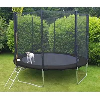 Viking Choice - Trampolin 305 Cm Schwarz - Mit Sicherheitsnetz & Leiter - Bis 120 Kg