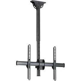 Startech FPCEILPTBSP