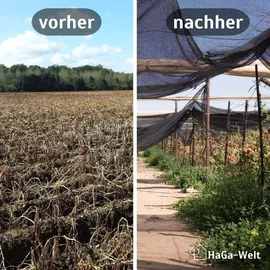 Haga® Schattiernetz Sichtschutznetz Gewächshaus- netz HaGa 60% 2m Höhe (Meterware)