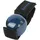 Coghlan Coghlans Bären Glocke blau