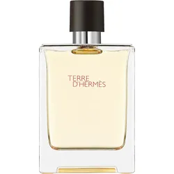 Hermes Terre d ́Hermes 100ml Eau de Toilette