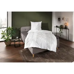 Naturfaserbettdecke QUEENS TEXTILES 