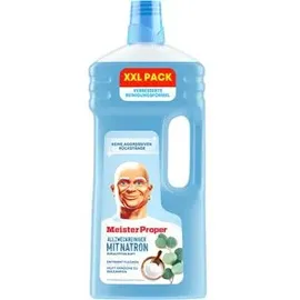 Meister Proper Allzweckreiniger Natron und Eukalyptus-Duft 2 l
