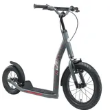 tretroller-laden Star-Scooter Cityroller 16 Zoll Grau