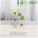 Hama Fotohalter Classic transparent 10x15 cm 2er Set