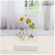 Hama Fotohalter Classic transparent 10x15 cm 2er Set