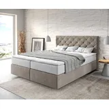 DeLife Boxspringbett Dream-Great 160x200 cm Mikrofaser Beige mit TFK Matratze und Visco Topper, Boxspringbetten