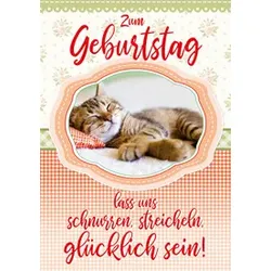 Apollo Geburtstagskarte A4 Katze APOLLO B-2106 m. Musik