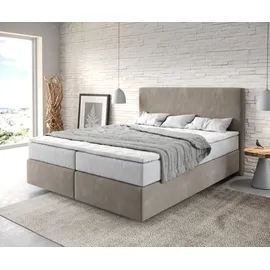 DeLife Dream-Well 160 x 200 cm H2/H3 Mikrofaser beige