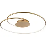 Paul Neuhaus LED-Deckenleuchte Nastro Gold 70 x 65 cm