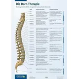 mgo fachverlage Die Dorn-Therapie, Poster: