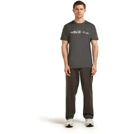 Icebreaker Merino 150 Tech Lite The Peaks grau L