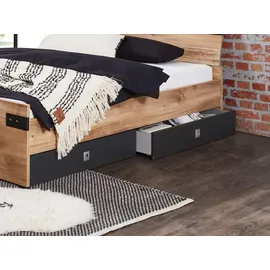 WIMEX Bettkasten Liverpool 2er Set Dekor Grau