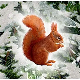 Coppenrath Verlag Wand-Adventskalender – Weihnachtslaterne