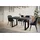 alpi möbel LOFT-U 120-220 x 77 x 80 cm dunkelgrau