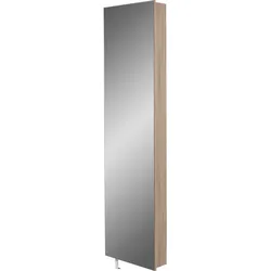 Germania Drehschrank mit komplett verspiegelter Front 1189 versch. Farben