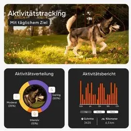 Weenect XT GPS Tracker für Hunde 6 kg Orange
