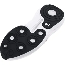 Under Armour Phantom 4 Herren 101 - white/halo gray/white 43