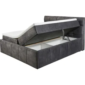 ed exciting design Boxbett AVIDANO 6 - grau