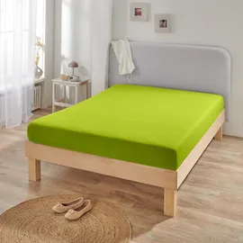 BettwarenShop Spannbettlaken Jersey-Elasthan 120 x 200 - 130 x 220 cm grün