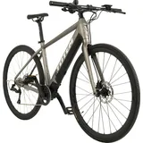 TOTEM Urban E-Bike Fitness 28 Zoll RH 51 cm Unisex platin