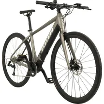 TOTEM Urban E-Bike Fitness 28 Zoll RH 51 cm Unisex platin