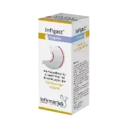 INFIGAST Tropfen 100 ml Tropfen