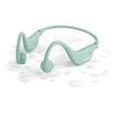 Philips TAK4607