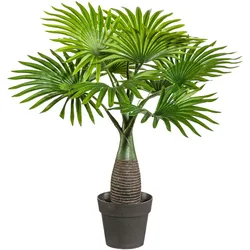 CREATIV green künstliche Pflanze Mini-Fächerpalme, ca 45cm, 2er Set