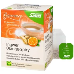 Salus Ingwer Orange Spicy Tee  15 St Filterbeutel