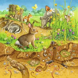 Tiere in ihren Lebensräumen