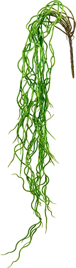 Senecio D25L95cm grün