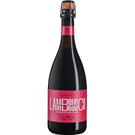 medici ermete, emilia-romagna Lambrusco Reggiano DOC 2024 0,75 l