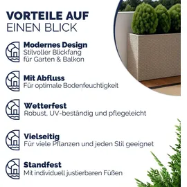 DEUBA Blumenkasten 83 x 30,5 x 60 cm Creme