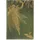 Paperblanks Olive Fairy (Lang’s Fairy Books) Midi Lined Softcover Flexi Journal (Elastic Band Closure): Softcover mit Elastikbandverschluss