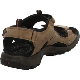 ECCO Offroad Herren nutmeg brown 41