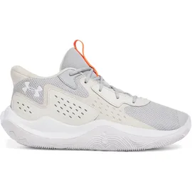 Under Armour Jet '23 Basketballschuhe grau, Größe 47