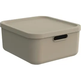 Rotho Babydesign Aufbewahrungsbox M Kayo 20 l - Cappuccino