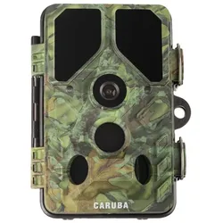 Caruba Wildlife Kamera Kröte Full HD